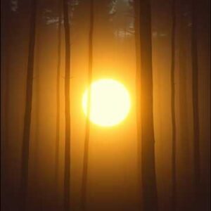 Inner Light Rhythm